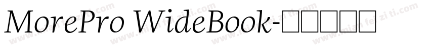 MorePro WideBook字体转换